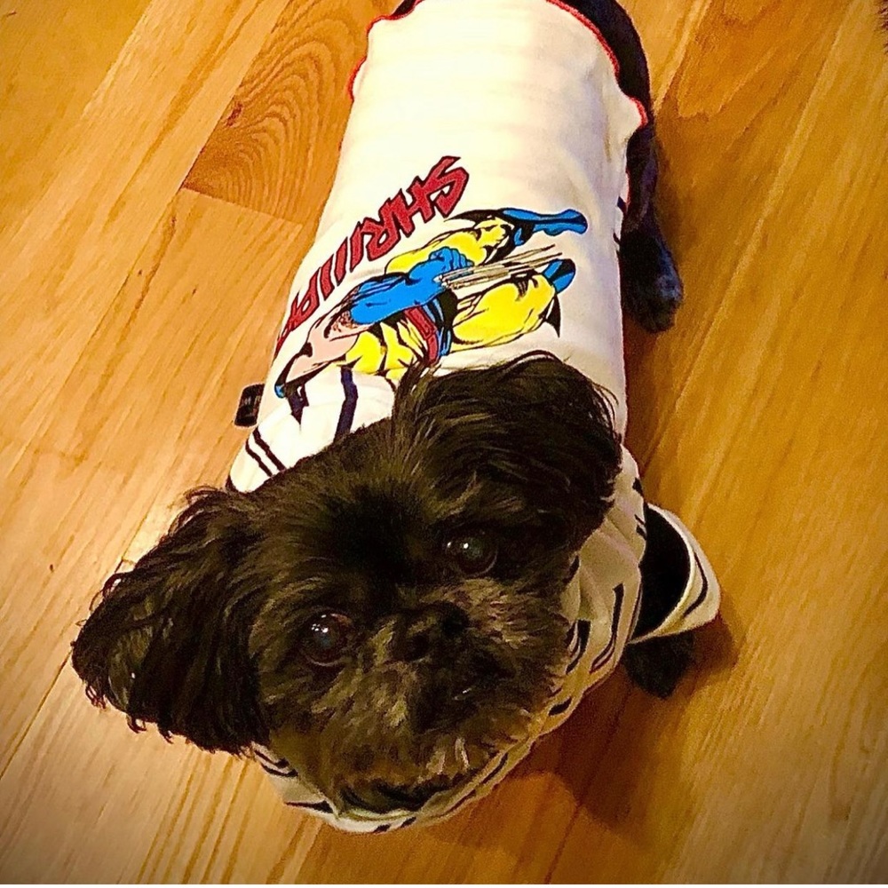 Hoodie Superhero Wolverine